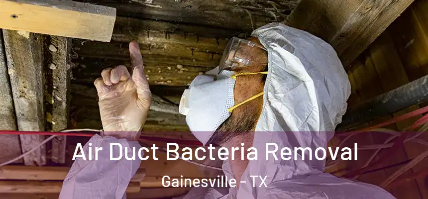  Air Duct Bacteria Removal Gainesville - TX