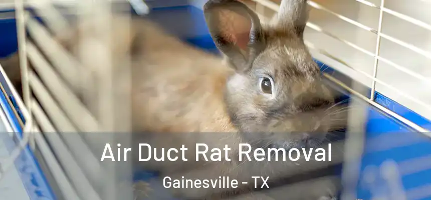  Air Duct Rat Removal Gainesville - TX
