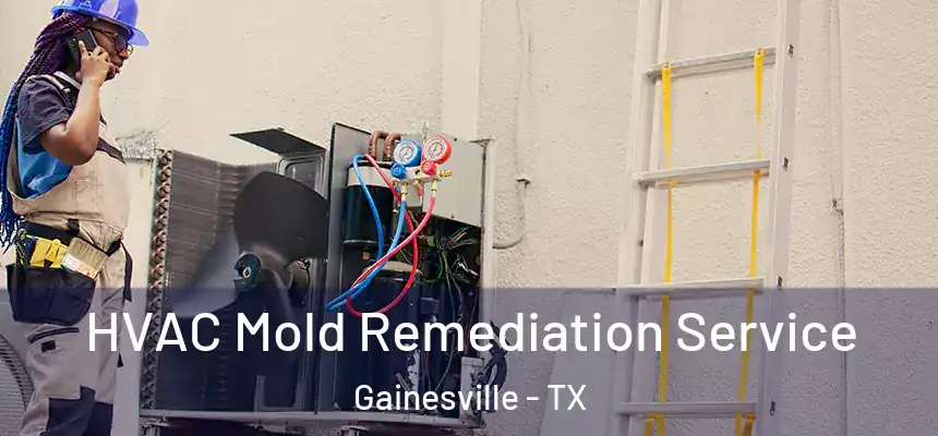 HVAC Mold Remediation Service Gainesville - TX