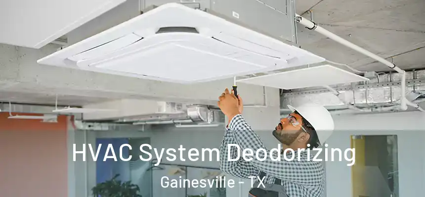  HVAC System Deodorizing Gainesville - TX