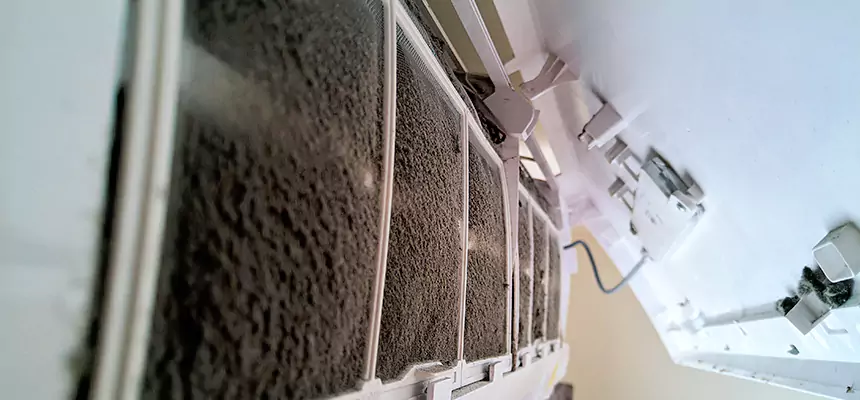 Preventive Air Duct Bacteria Removal in Gainesville