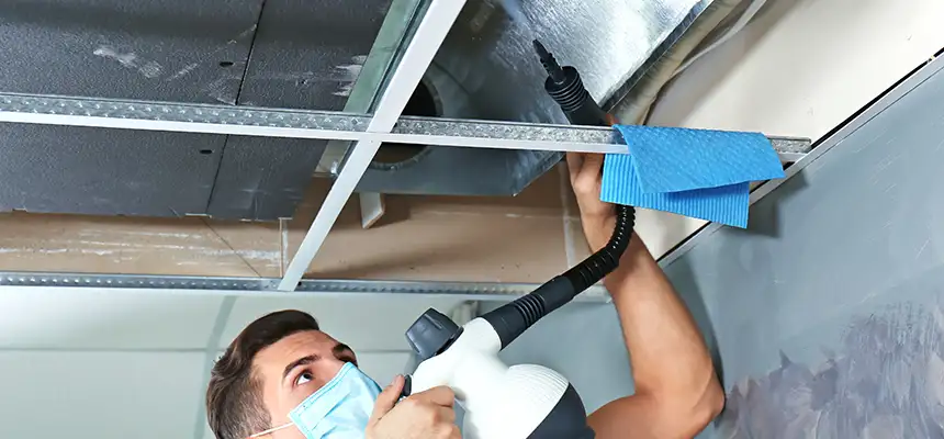 Our Air Duct Rodent Removal Services in Gainesville, TX