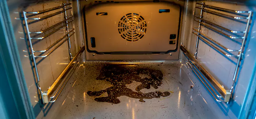 Our Dryer Vent Mold Cleaning Services in Gainesville, TX