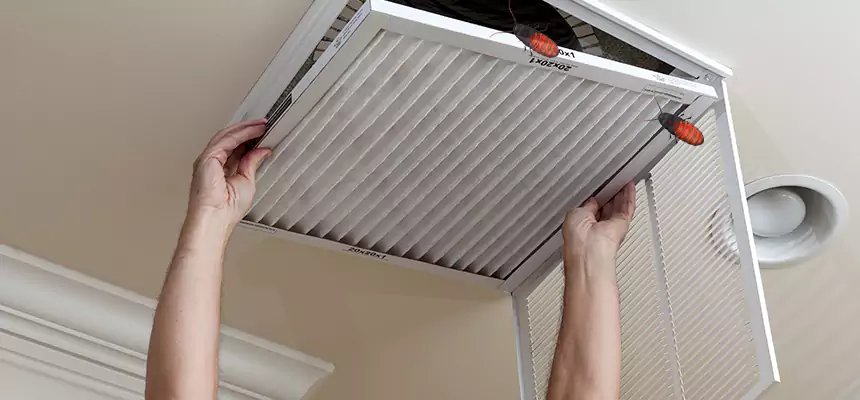 Our Insect Removal from Air Ducts Services in Gainesville, TX