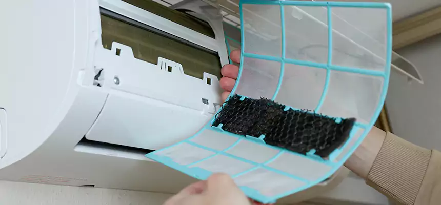 Gentle Ductwork Odor-Control Pet Dander Duct Cleaning in Gainesville, TX