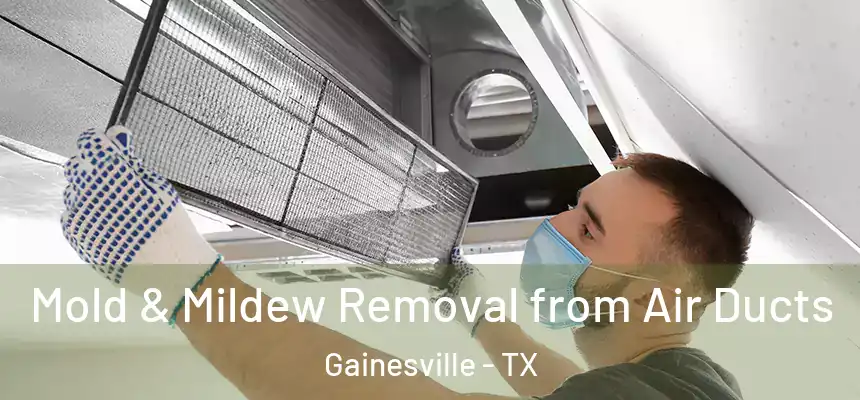  Mold & Mildew Removal from Air Ducts Gainesville - TX