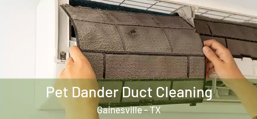  Pet Dander Duct Cleaning Gainesville - TX