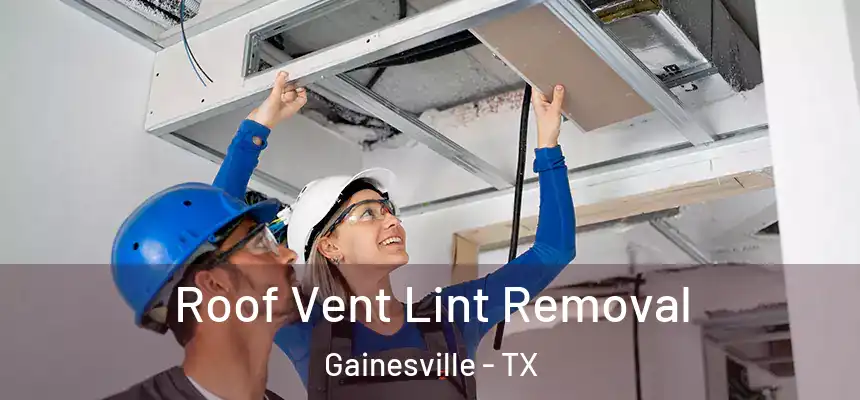  Roof Vent Lint Removal Gainesville - TX