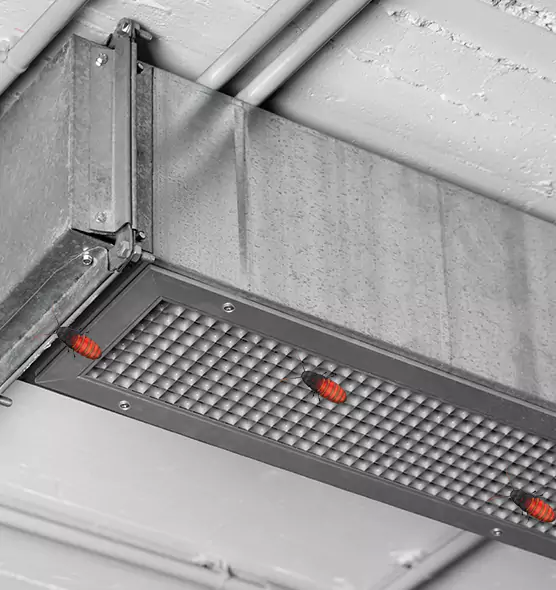 About Air Duct Cockroach Removal in Gainesville, TX