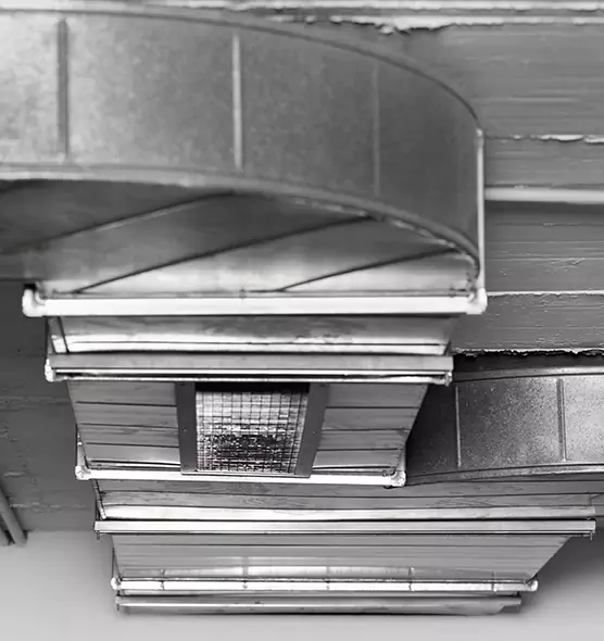 Professional Air Duct Pet Hair Removal in Gainesville, TX