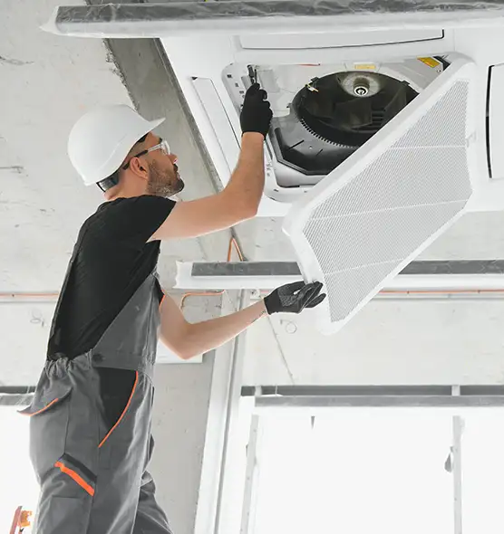 About Air Duct Rodent Removal in Gainesville, TX