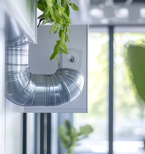 Professional Eco-Safe Dryer Vent Cleaning in Gainesville, TX