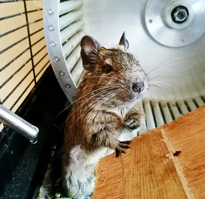 Why Homeowners & Businesses Trust Us Gainesville, TX?