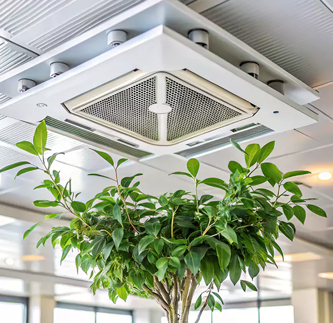 Why Homeowners & Businesses Trust Us in Gainesville, TX?